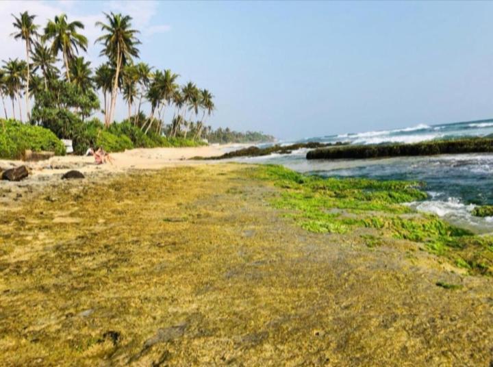 Sandaru Surffing Inn Weligama Esterno foto