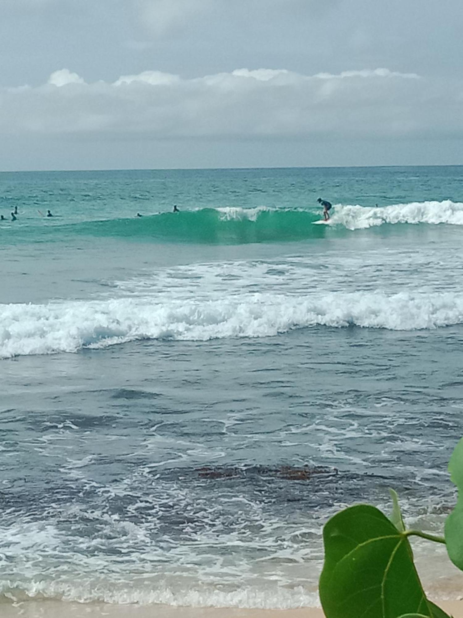 Sandaru Surffing Inn Weligama Esterno foto